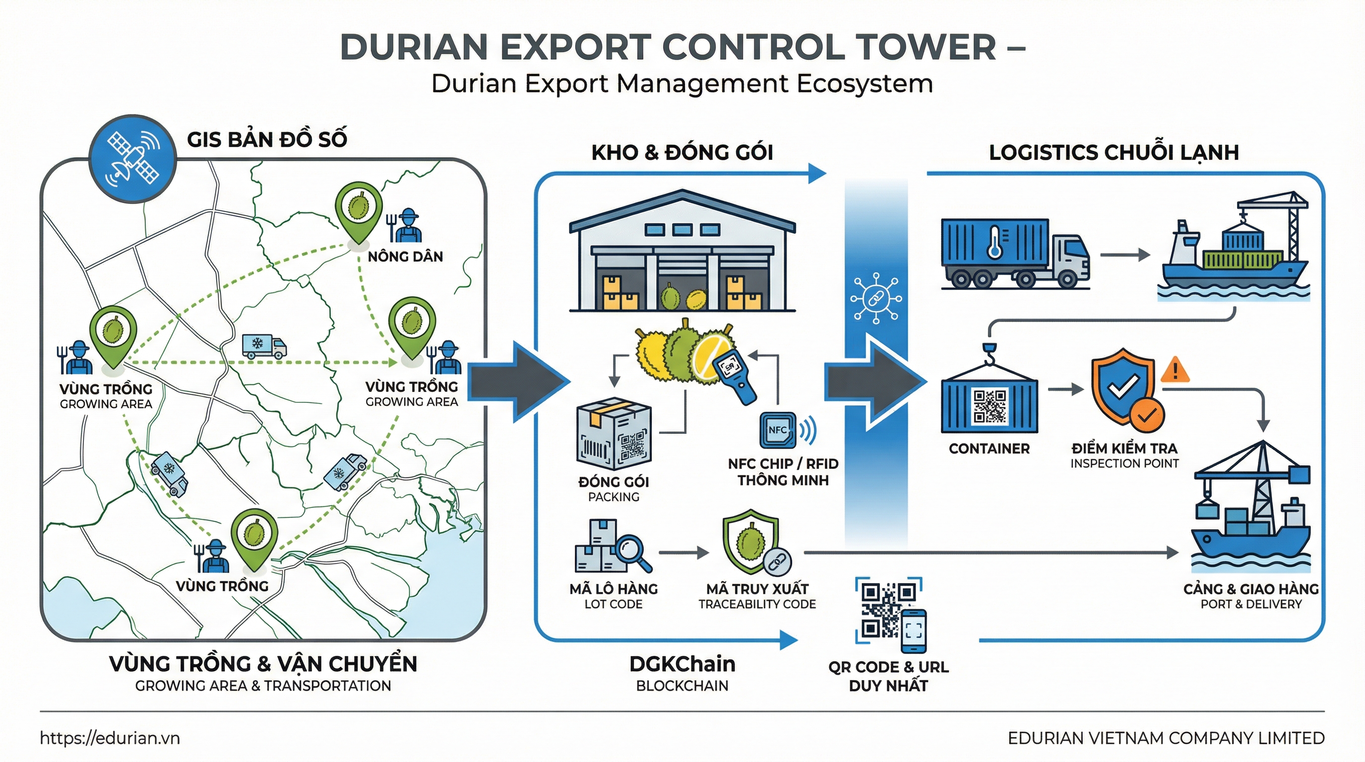 11. Biểu đồ GIS vùng trồng và chuỗi logistics