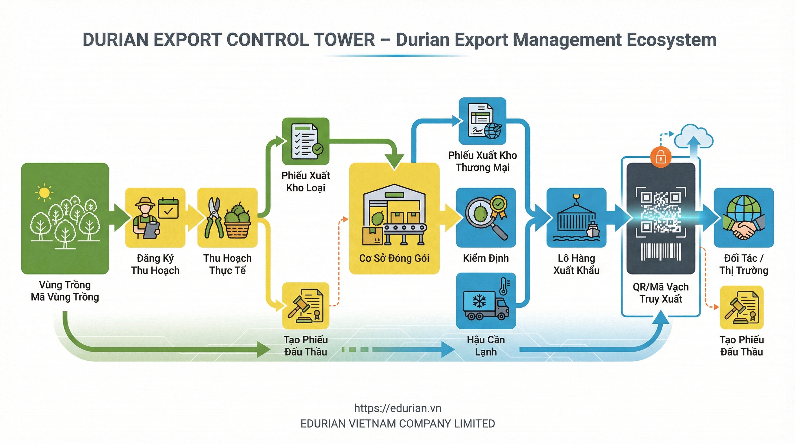 3. Quy trình nghiệp vụ end-to-end toàn chuỗi xuất khẩu