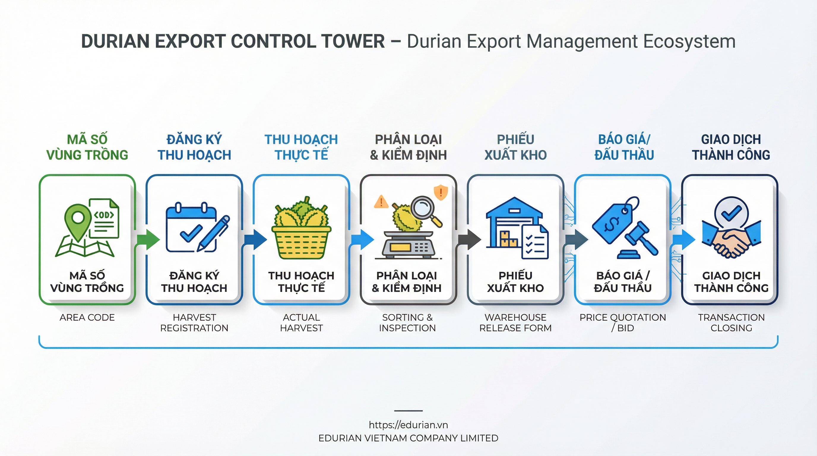 5. Quy trình thương mại theo MSVT